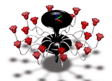 实例教程5：用1929cc威尼斯3D进行花瓣吊灯设计